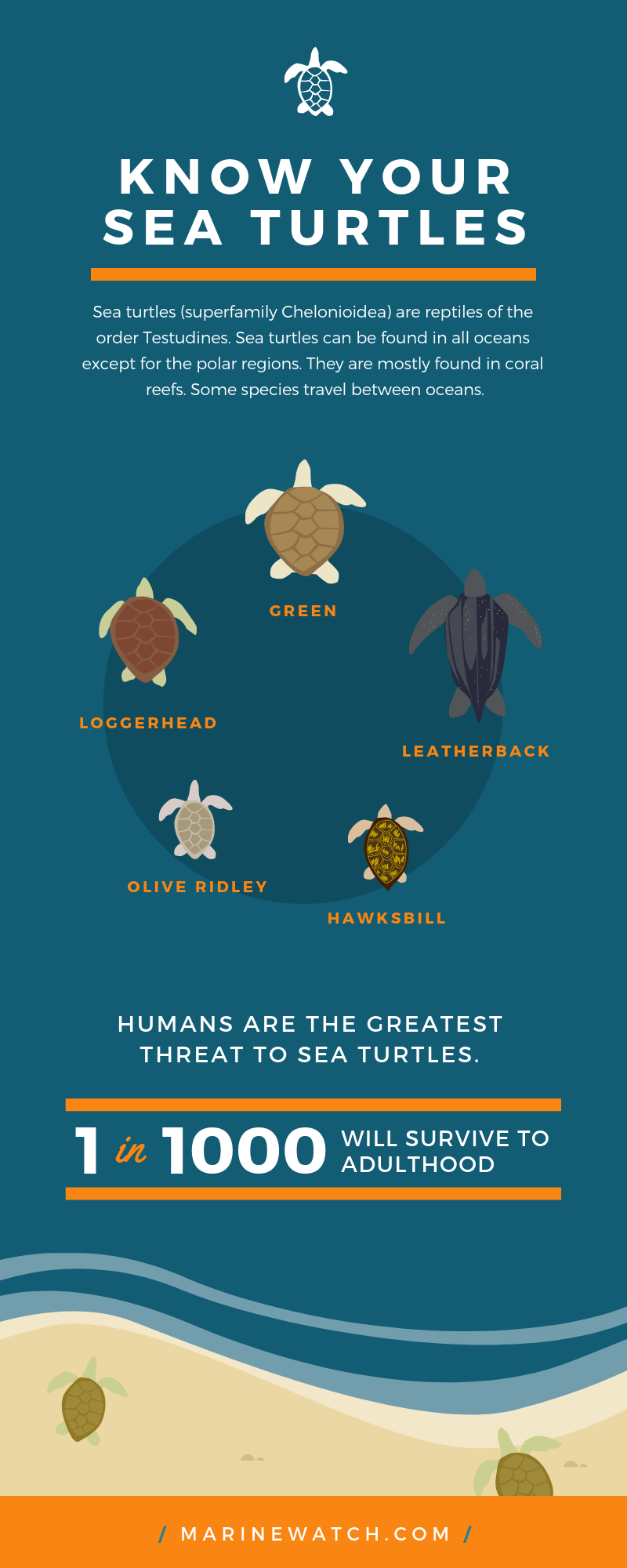 Infographic-Course-8